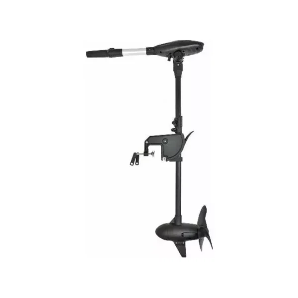 Moteur haswing protruar-g 3.0 110 lbs