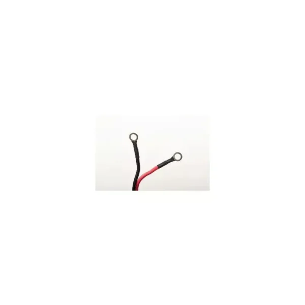 Moteur haswing protruar-g 3.0 110 lbs – Image 8