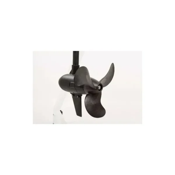 Moteur haswing protruar-g 3.0 110 lbs – Image 9