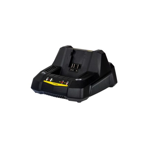 Pack Jardin Sans Fil 4 Saisons : Coupe Bordure + Taille Haie + Fraise à Neige + 2 Batteries + Chargeur – Image 6