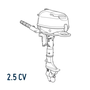 PIECE DETACHEE MOTEUR SAIL 2,5 CV -