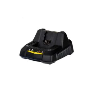 Chargeur Rapide pour Batterie 40V